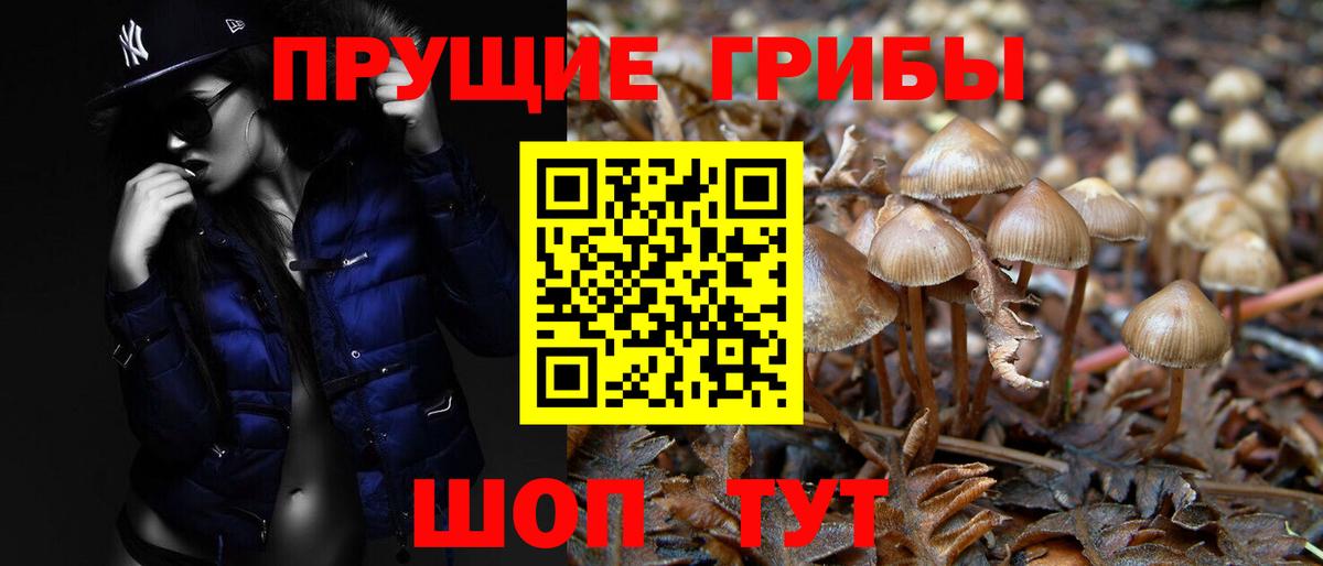 Озёры  Псилоцибиновые грибы прущие грибы  Вход с VPN 